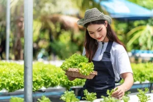 8 Peluang Bisnis di Desa dengan Keuntungan Besar: Dari Pertanian Organik hingga E-Commerce Lokal